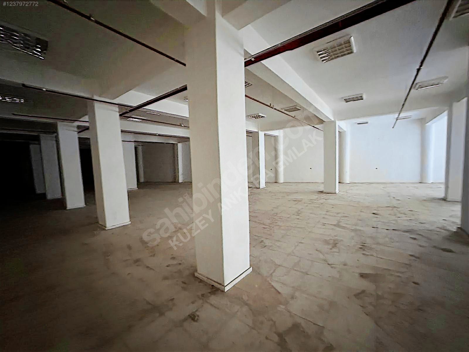 EYYUBİYE YENİCE 500M2 MUAZZAM GENİŞLİK HERİŞ KOLUNA UYGUN İŞYERİ - ŞANLIURFA EYYÜBİYE fotoğraf 16