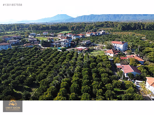 TOPARLARDA , YERLEŞİM ALANINDA SATILIK - MUĞLA KÖYCEĞİZ fotoğraf 9