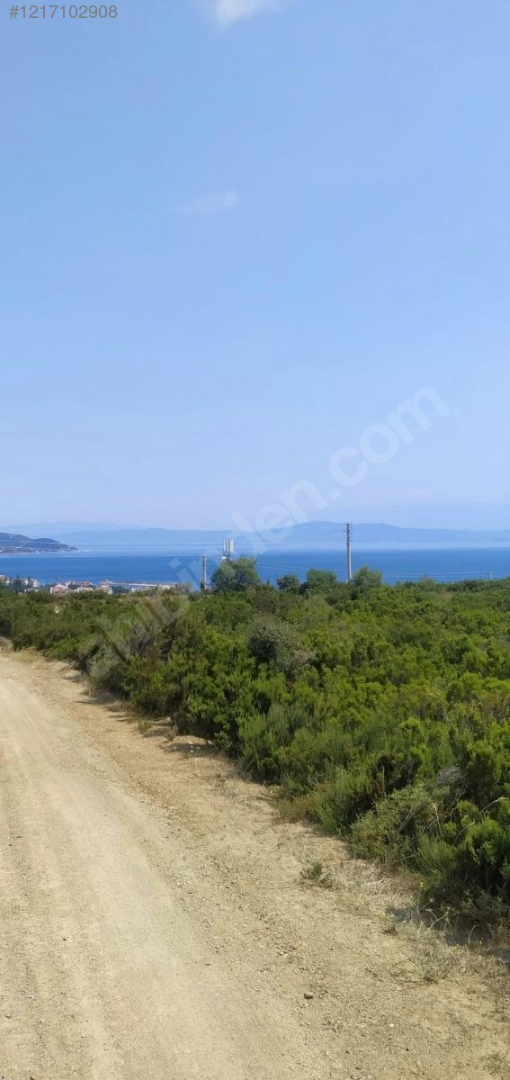 YALOVA ARMUTLU KARŞIYAKA  348  M² TARLAMIZ SATILIKTIR - YALOVA ARMUTLU fotoğraf 6