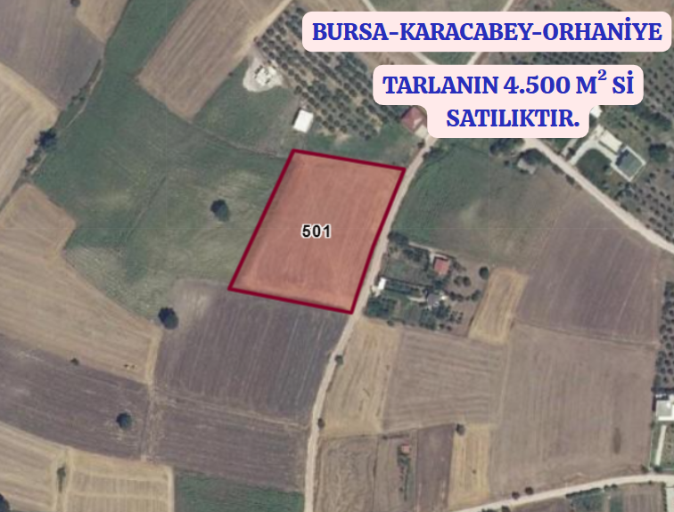 BURSA KARACABEY ORHANİYE  KÖYÜNDE  TARLANIN 4.500 M²  Sİ  SATILIKTIR - BURSA KARACABEY fotoğraf 2
