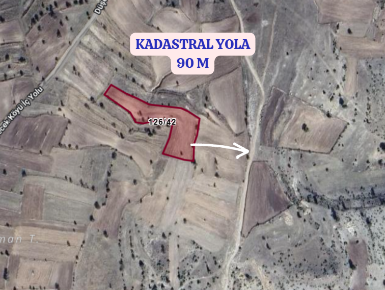KÜTAHYA EMET DÜŞECEK   KÖYÜNDE 5.451 M² TARLA  SATILIKTIR - KÜTAHYA EMET fotoğraf 3