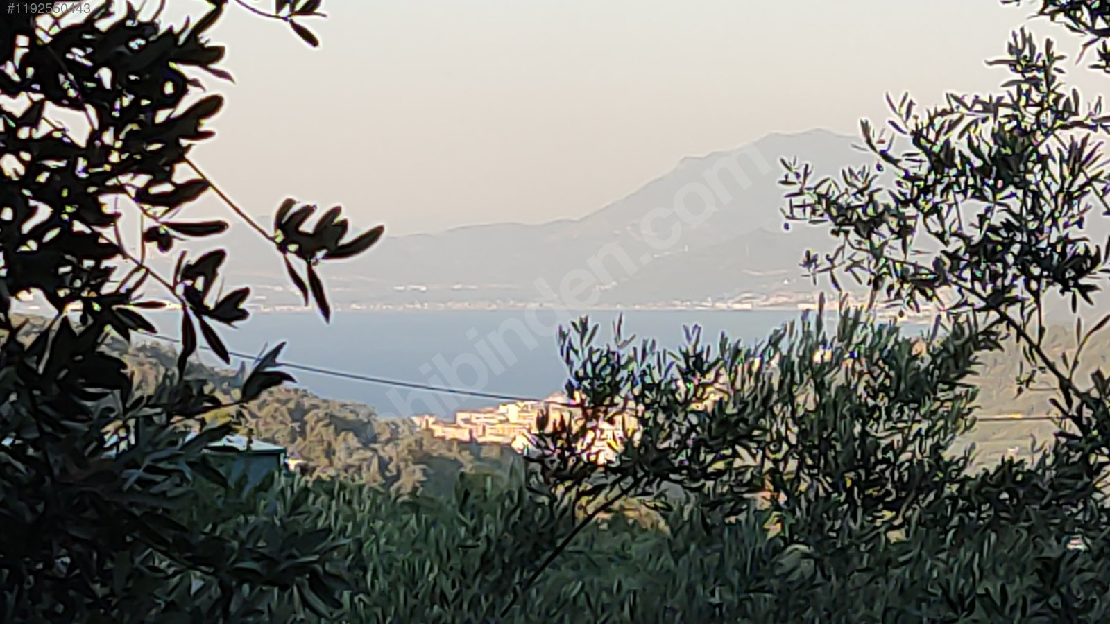 BURSA MUDANYA ÇEPNİ KÖYÜNDE 2.110 M² ZEYTİNLİK SATILIKTIR. - BURSA MUDANYA fotoğraf 19