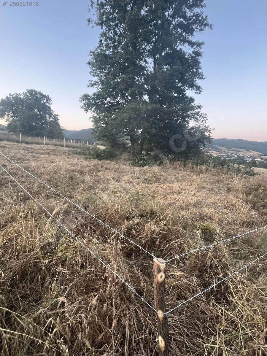 Samsun kavak çalbaşı mahallesi - SAMSUN KAVAK fotoğraf 8