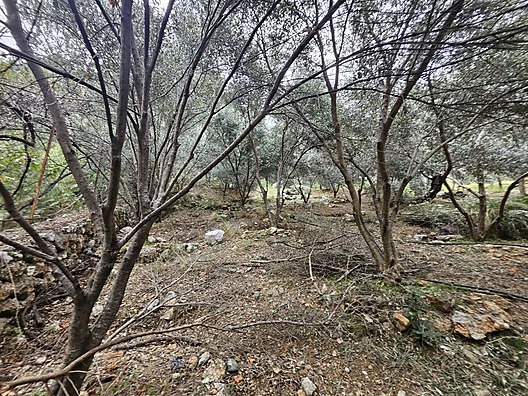 MUHTESEM LOKASYON 258M2 SUPER YATİRİM DUNYA GÖZBEBEĞİ VİLLA ARSA - MUĞLA FETHİYE fotoğraf 27