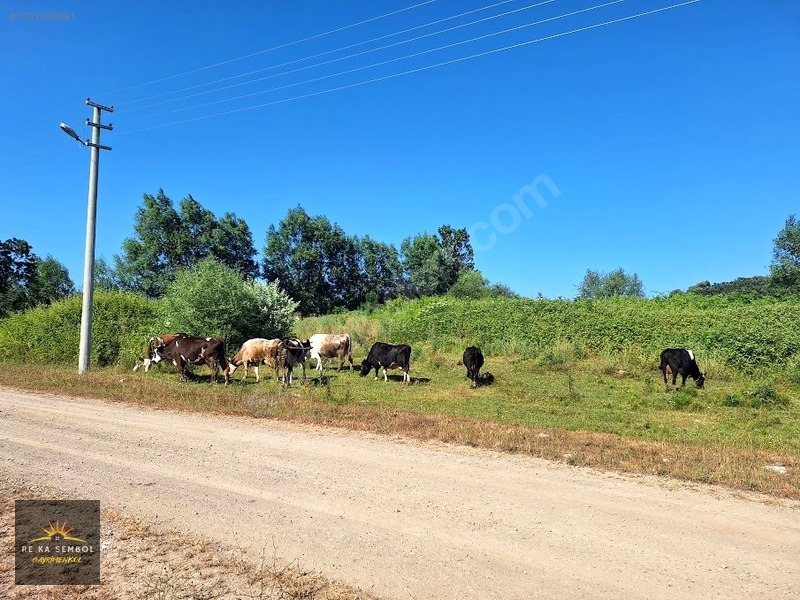 KARASU KUZULUK MAHALLESİNDE SATILIK 7.170 M2 TARLA - SAKARYA KARASU fotoğraf 2
