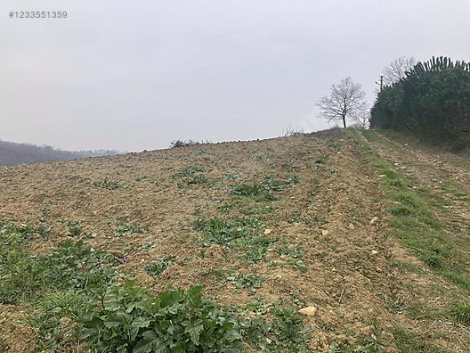 Sahibinden Göl Manzaralı, Kadastro yollu çok iyi konumda tarla - KOCAELİ KANDIRA fotoğraf 4