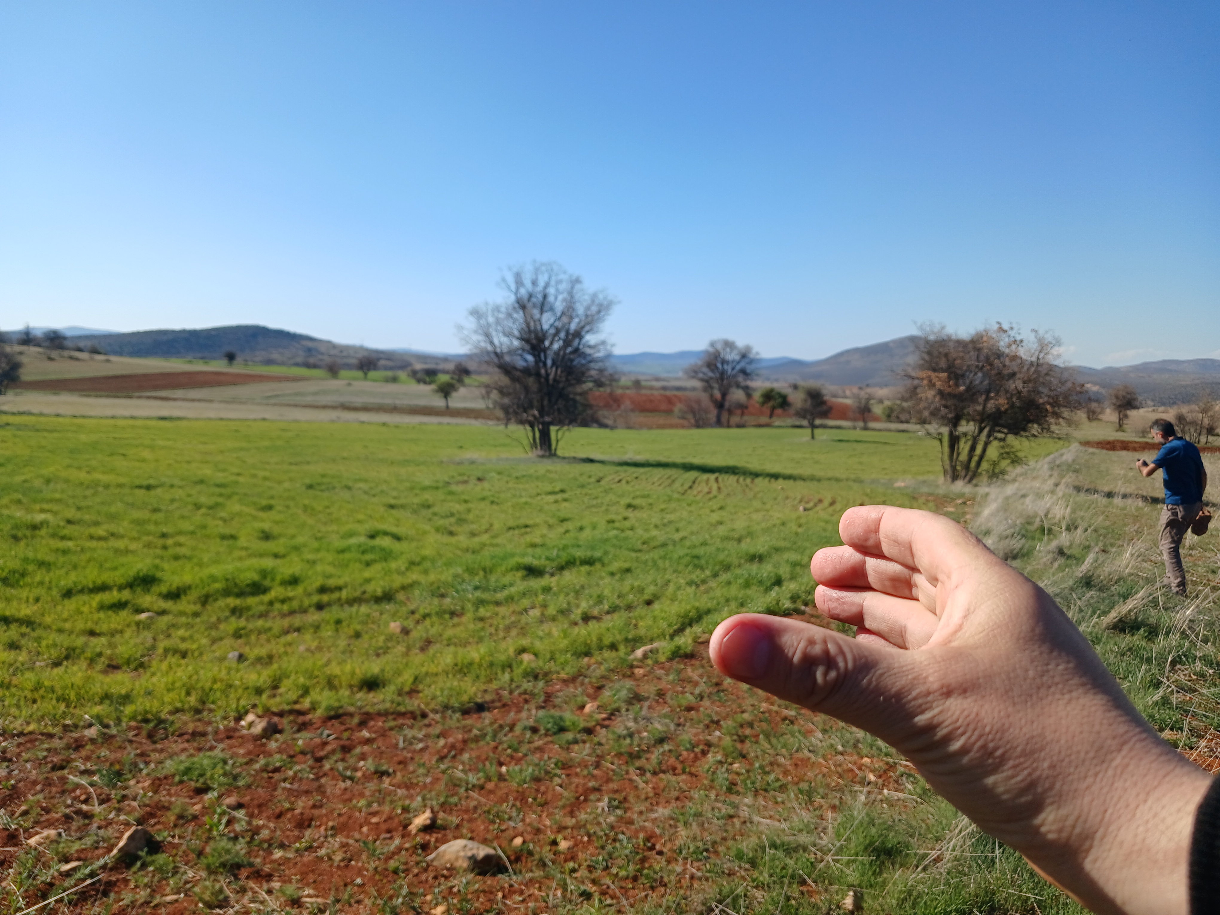 KONYA GÜNEYSINIR HABİLLER KÖYÜNDE 787 M² TARLA SATILIKTIR. - KONYA GÜNEYSINIR fotoğraf 11