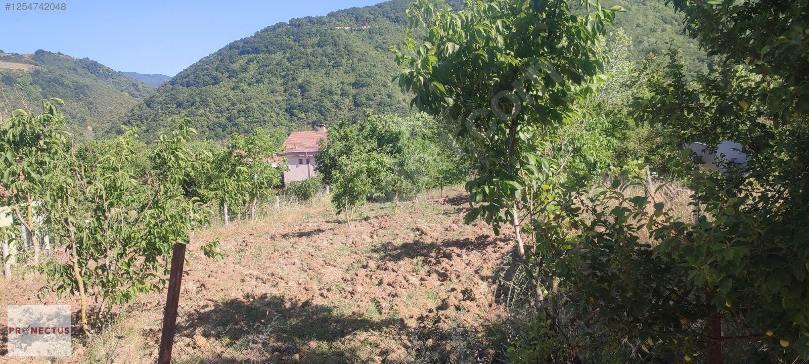 AVCIKÖY MAH. RESMİ YOLA CEPHE 3145 M2 İMARLI ARSA - KOCAELİ KARAMÜRSEL fotoğraf 3