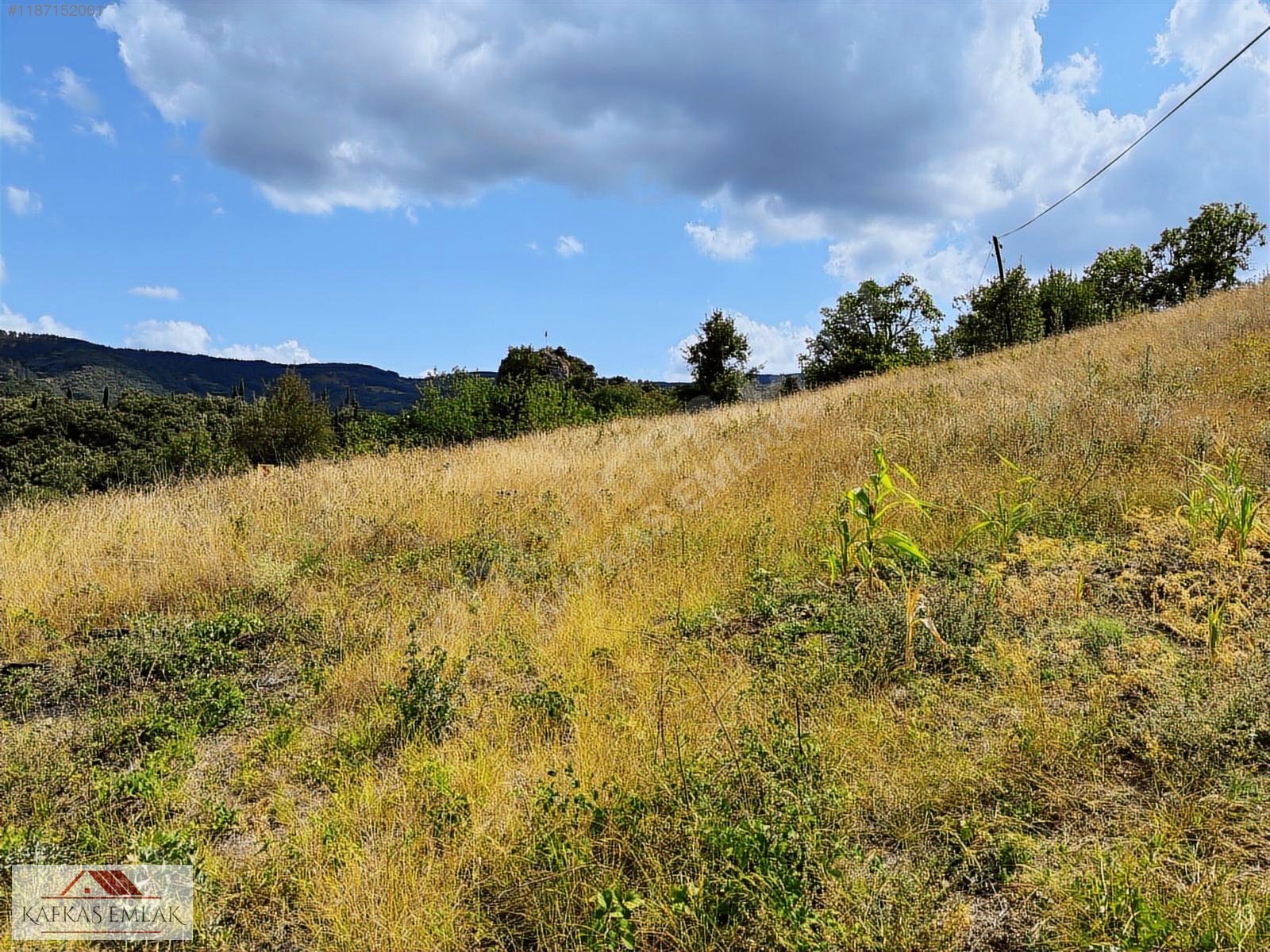 ALPAĞUT MAHALLESİ 5.125 M² KÖY ASFALTINA CEPHE SATILIK TARLA - BURSA MUSTAFAKEMALPAŞA fotoğraf 7