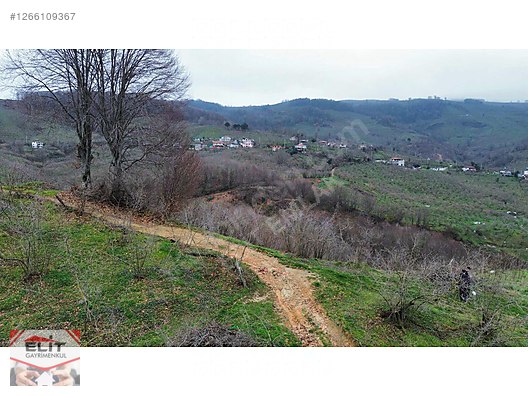 DÜZCE AKÇAKOCA DA EV YAPIMINA UYGUN SATILIK 7.768 M2 FINDIKLIK - DÜZCE AKÇAKOCA fotoğraf 41