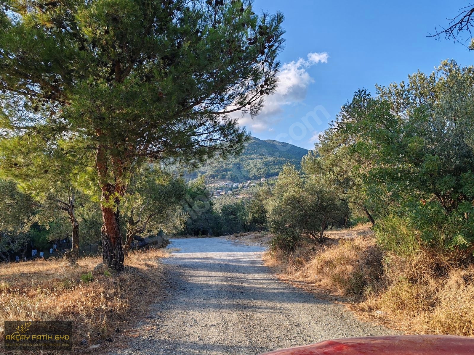 Zeytinli de 8.5 Dönüm SATILIK Zeytinlik - BALIKESİR EDREMİT fotoğraf 9
