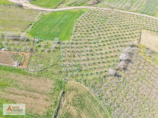 HEDİYELİDE DOĞA VE GÖL MANZARASI BİR ARADA 877 M² FIRSAT TARLA - KOCAELİ KANDIRA fotoğraf 9