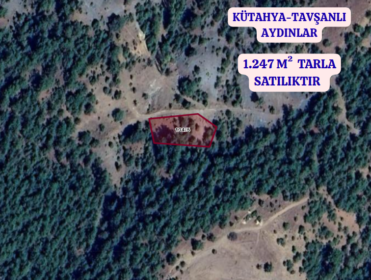 KÜTAHYA TAVŞANLI AYDINLAR  KÖYÜNDE 1.247 M²  TARLA  SATILIKTIR - KÜTAHYA TAVŞANLI fotoğraf 2