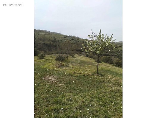 Kocaeli Derince Terziler Mahallesi 4.696 M2 yollu - KOCAELİ DERİNCE fotoğraf 3