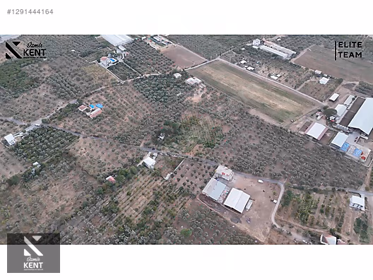 Kemalpaşa Çınar Satılık 8.507 m2 Bahçe - İZMİR KEMALPAŞA fotoğraf 27