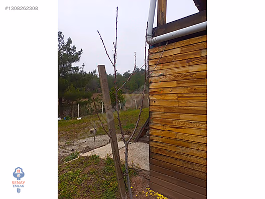 YATIRIMLIK...BİLECİK GÖLPAZARINDA 6780 M2 (ARAÇ TAKASLI) BAHÇE - BİLECİK GÖLPAZARI fotoğraf 10
