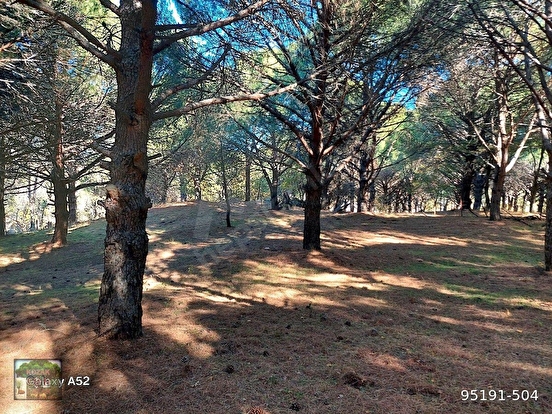 KOZAK YAYLASINDA KARAVELİLER MAH DE 5950 m2 EV İMARLI FISTIKLIK - İZMİR BERGAMA fotoğraf 6