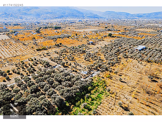Kemalpaşa Sekiz Eylül Merkeze Yakın Satılık 3440 m2 Zeytinlik - İZMİR KEMALPAŞA fotoğraf 23