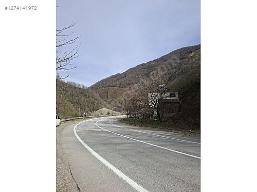 TİREBOLU KUZGUN KÖYÜNDE ANA YOLA CEPHE FINDIK BAHÇESİ - GİRESUN TİREBOLU fotoğraf 3