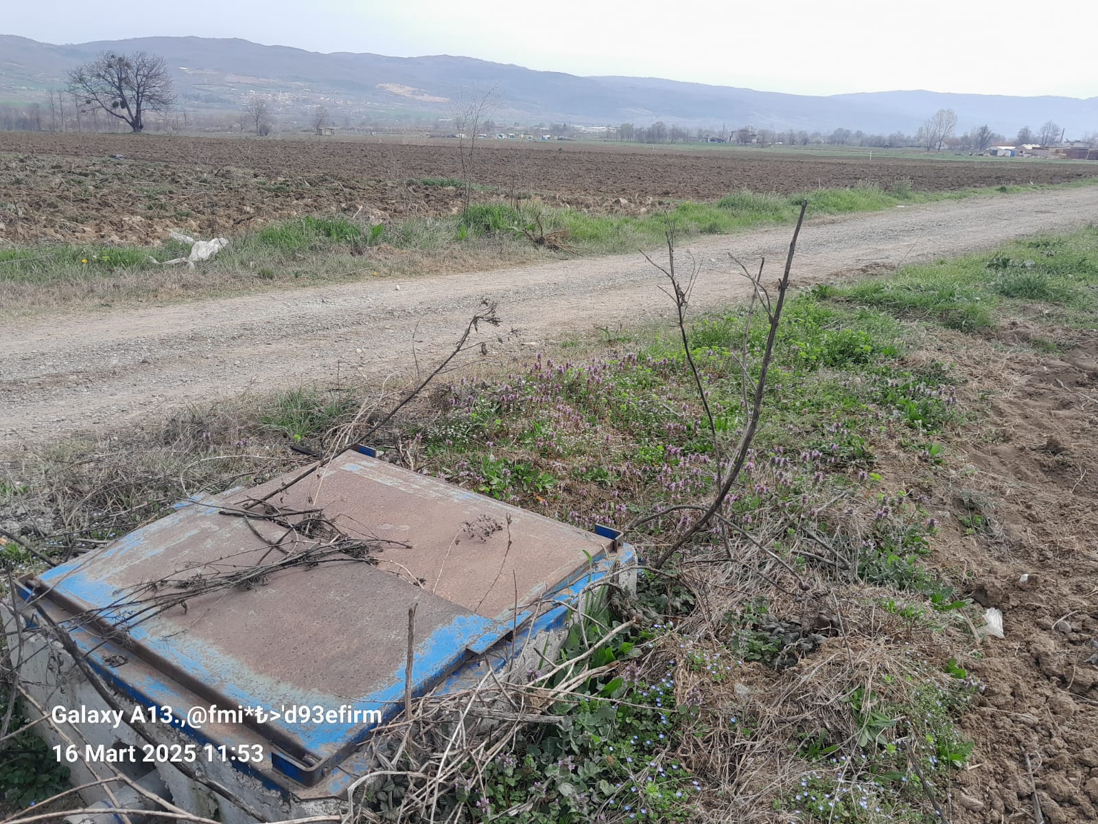 BURSA İNEGÖL HASANPAŞA SATILIK TARLA 9100m² - BURSA İNEGÖL fotoğraf 9