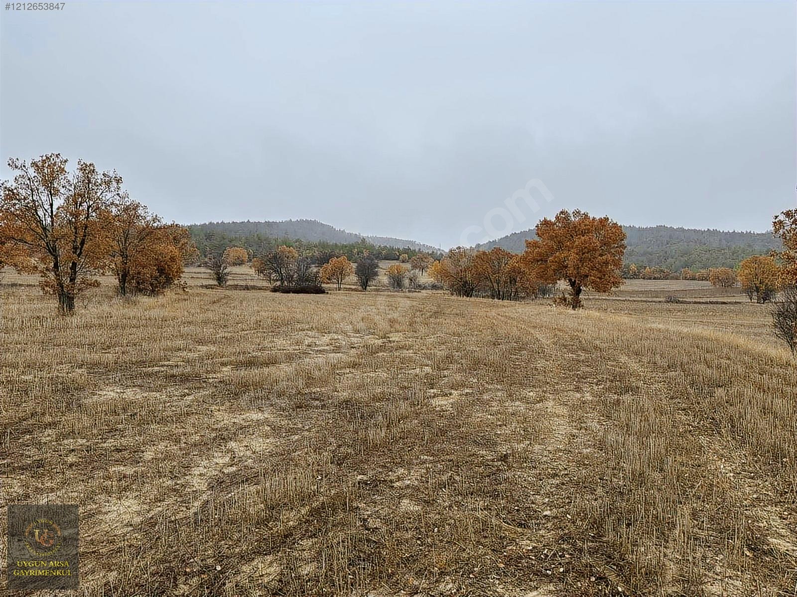 BOLU GÖYNÜK KARAARDIÇ'TA 4.921 M2 UYGUN ARSA - BOLU GÖYNÜK fotoğraf 19
