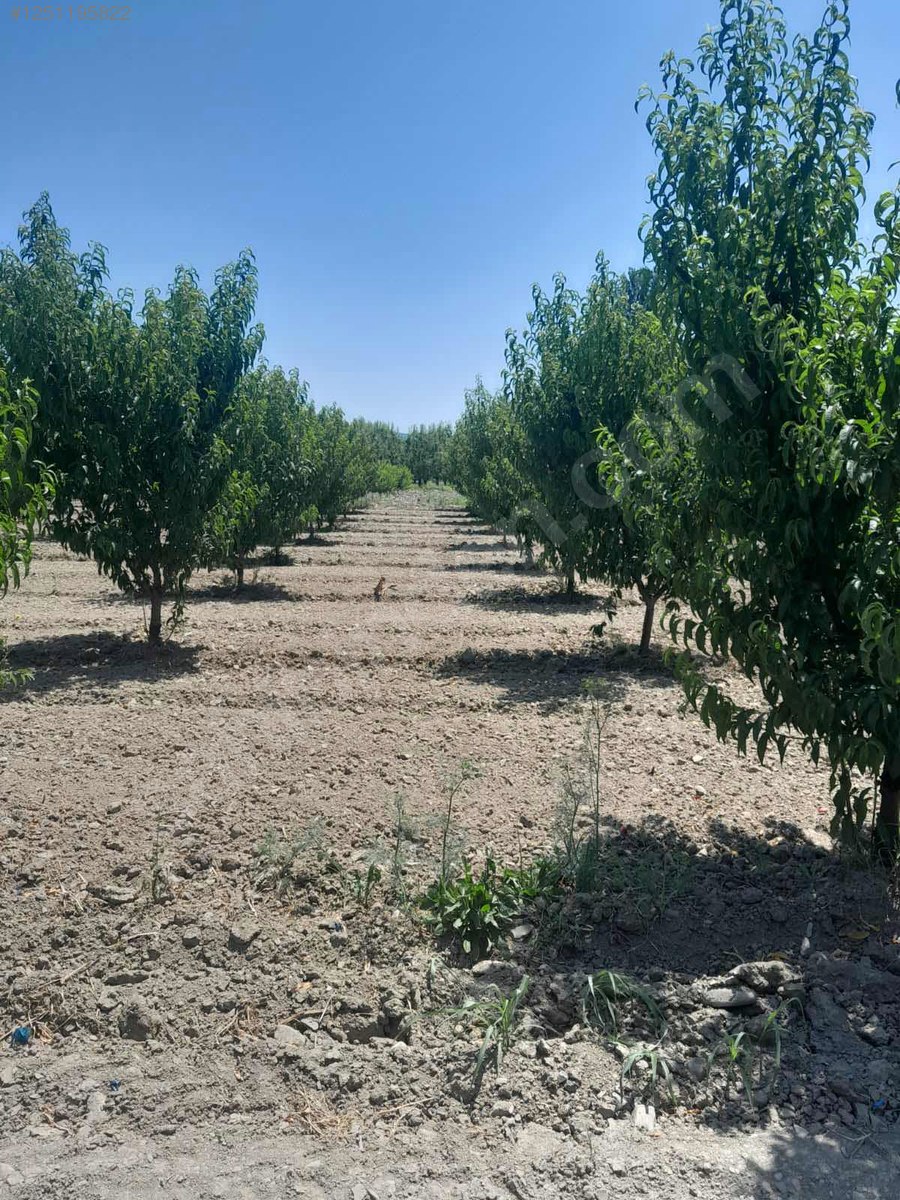 BURSA KESTEL BARANFAKİH3.349 M²  TARLA SATILIKTIR - BURSA KESTEL fotoğraf 7