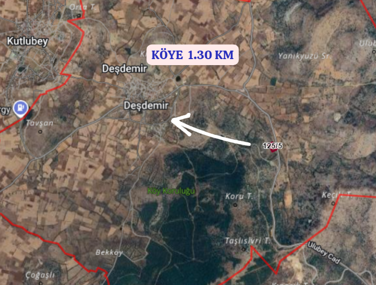 DENİZLİ BEKİLLİ DEŞDEMİR KÖYÜNDE  5.489 M²   TARLA SATILIKTIR - DENİZLİ BEKİLLİ fotoğraf 6