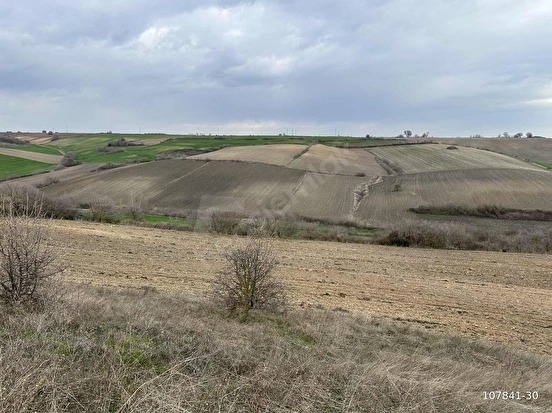 BABAESKİ ATATÜRK MAHALLESİNDE SATILIK 4234M2 5 HİSSE TOPLU ARAZİ - KIRKLARELİ BABAESKİ fotoğraf 2