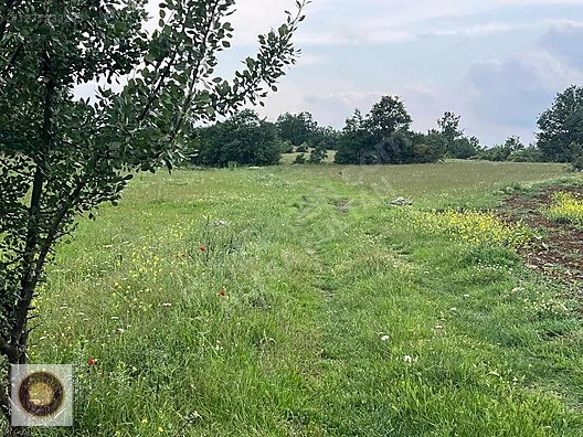 İNEGÖL DÖMEZ MH SATILIK TOPLAM 3.000M2 - BURSA İNEGÖL fotoğraf 12