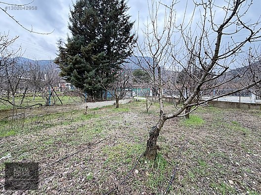 ROYAL EMLAKTAN FİLİNGİRLER MEVKİNDE YOL KENARI BAHÇE - AMASYA MERKEZ fotoğraf 6