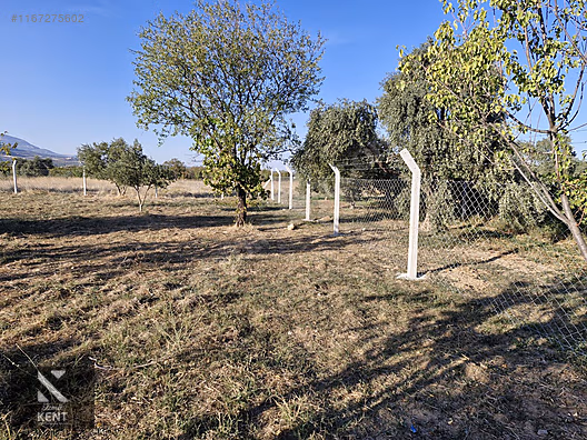 Kemalpaşa Armutlu Satılık 2300 m2 Bahçe Müstakil Parsel Tek Tapu - İZMİR KEMALPAŞA fotoğraf 2