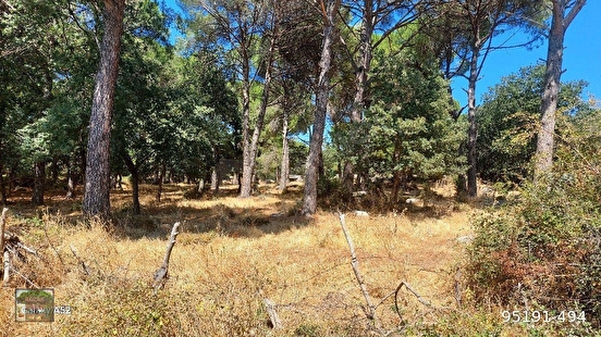 BERGAMA KOZAK YAYLASI YUKARIBEY MAH DE 6800 M2 FISTIKLIK