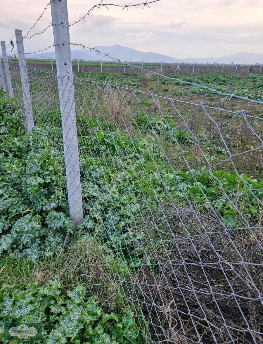 İzmir Torbalı Arslanlar Da 2 Dönüm Tek Tapu Tarla Satılık - İZMİR TORBALI fotoğraf 4