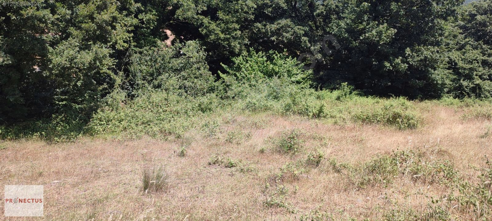 FULACIK MAH. ASFALT YOLA CEPHE 864 M2 SATILIK TARLA, - KOCAELİ KARAMÜRSEL fotoğraf 7