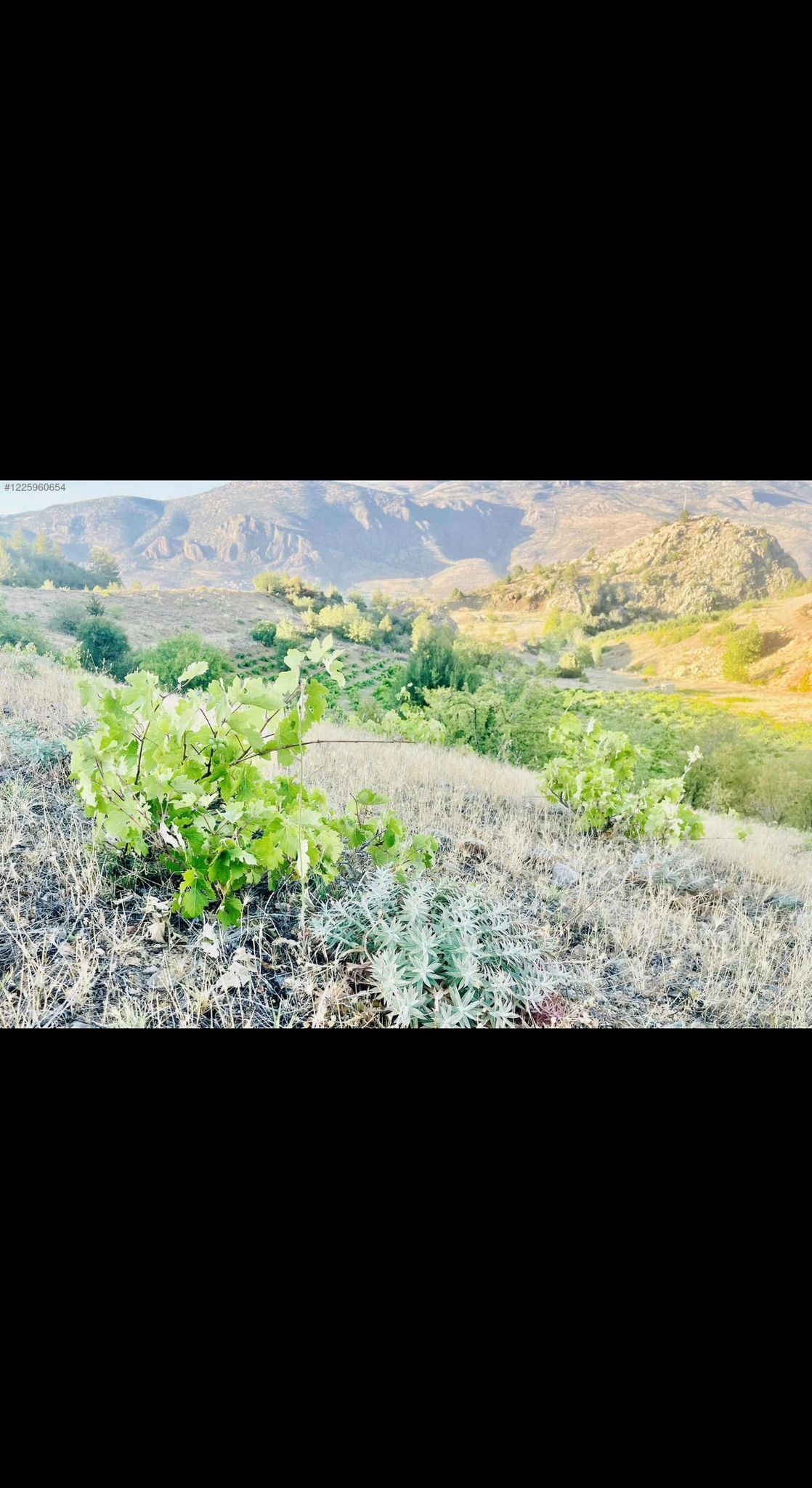 KONYA HADİM YELMEZ  KÖYÜNDE  2.817 M²  TARLA  SATILIKTIR - KONYA HADİM fotoğraf 14
