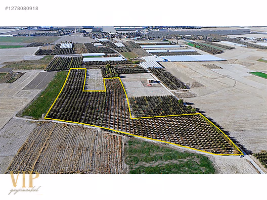 VİP GAYRİMENKUL'den BAYRALAR MAH. 29.648 m² ELMA-ARMUT BAHÇESİ - ANTALYA ELMALI fotoğraf 2