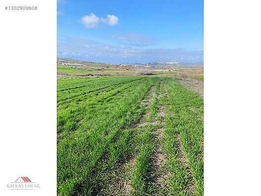 BOĞAZKÖYDE İMAR SINIRINDA 17.700M2 TARLA - BURSA MUSTAFAKEMALPAŞA fotoğraf 3