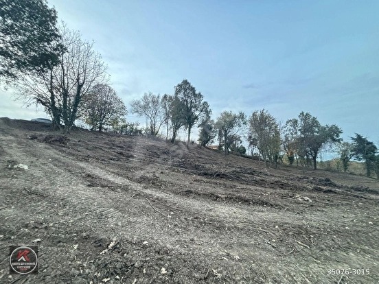 KARAMÜRSEL DEREKÖY’DE 19.309 M² KONUT ALANLI, TARIMSAL KULLANIMA UYGUN YATIRIM A - KOCAELİ KARAMÜRSEL fotoğraf 8