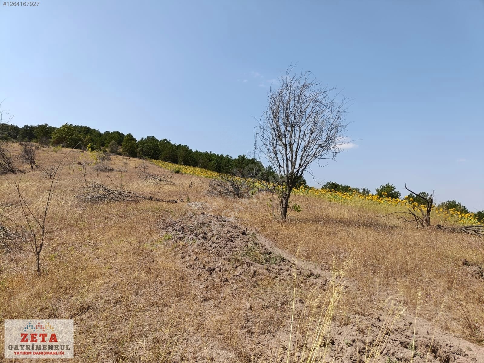 Bilecik Karaahmetler'de Yatırımlık 23.460 m² Satılık Tarla - BİLECİK GÖLPAZARI fotoğraf 11