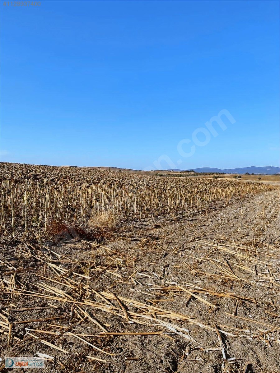 Bandırma Akçapınarda Yatırımlık Satılık 7.700 m2 Arazi. - BALIKESİR BANDIRMA fotoğraf 13