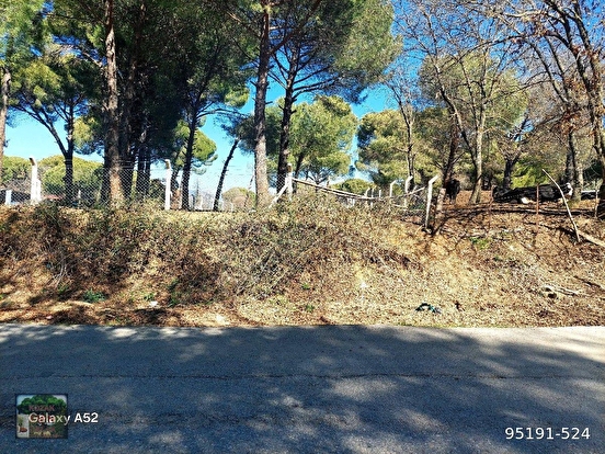 BERGAMA KOZAK YAYLASI YUKARIBEY MAH DE 950 m2 FISTIKLIK - İZMİR BERGAMA fotoğraf 4