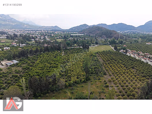 Kemer Kuzderede Yatırımlık & Verimli 15 Dönüm Narenciye Bahçesi - ANTALYA KEMER fotoğraf 23