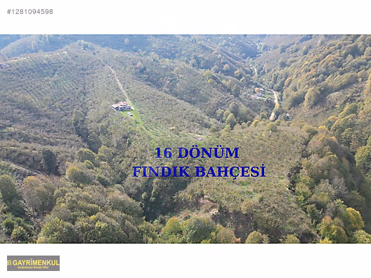 FIRSAT SAKARYA KARAPÜRÇEK İNÖNÜDE EV VE 16 DÖNÜM FINDIK BAHÇESİ - SAKARYA KARAPÜRÇEK fotoğraf 34