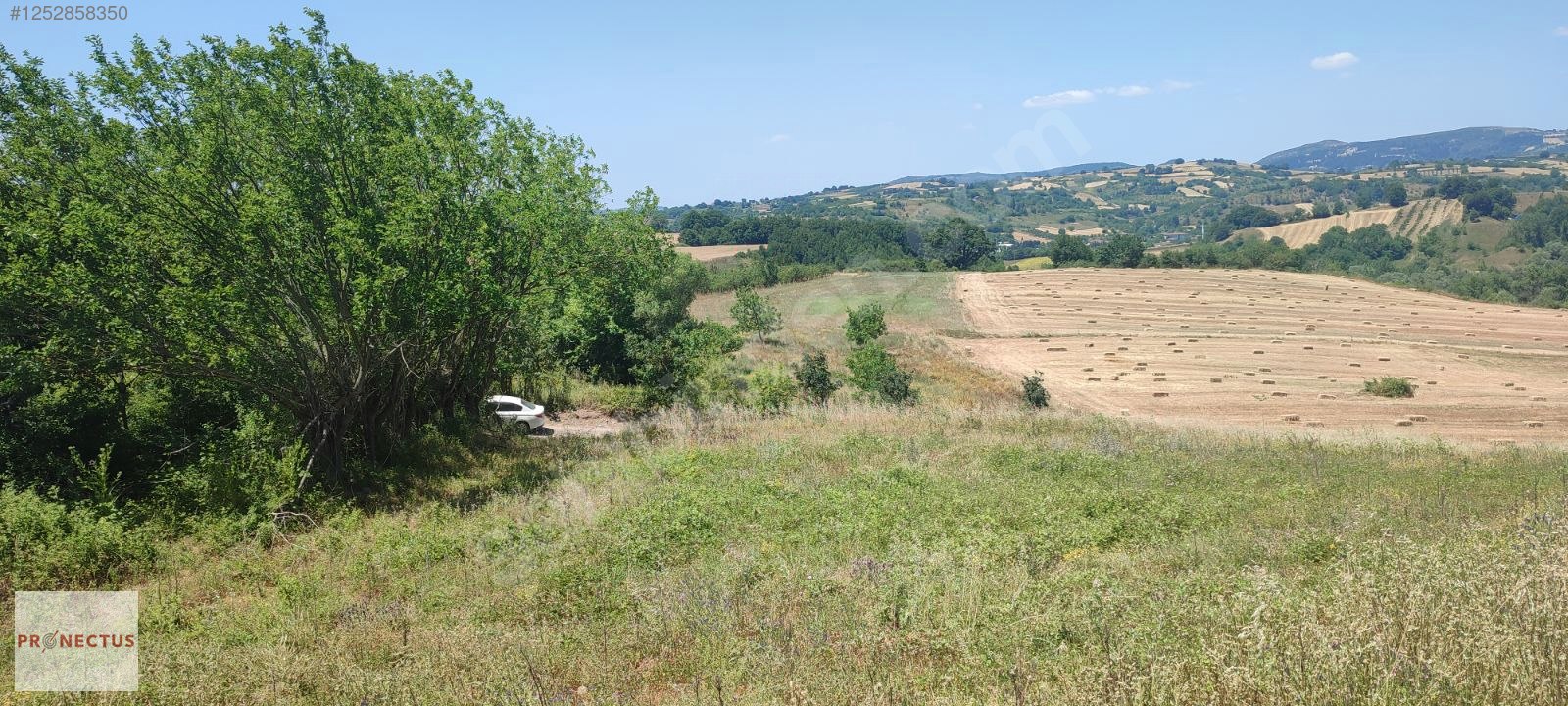 AVCIKÖY MAHALLESİNDE RESMİ YOLA CEPHE 3057M2 İMARLI SATILIK ARSA - KOCAELİ KARAMÜRSEL fotoğraf 2