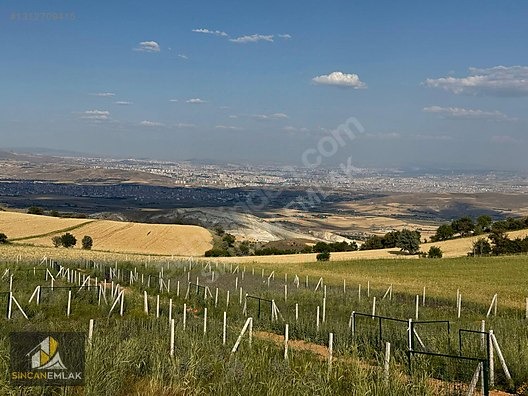 AYAŞ BAŞAYAŞ MAHALLESİNDE SATILIK FIRSAT HOBİ BAHÇELERİ - ANKARA AYAŞ fotoğraf 5