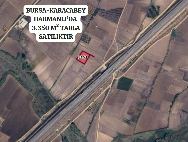 BURSA KARACABEY HARMANLI'DA 3.350 M²  TARLA  SATILIKTIR. - BURSA KARACABEY fotoğraf 2