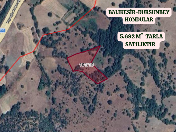 BALIKESİR DURSUNBEY HONDULAR  KÖYÜNDE  5.692  M²  TARLA  SATILIKTIR - BALIKESİR DURSUNBEY fotoğraf 2