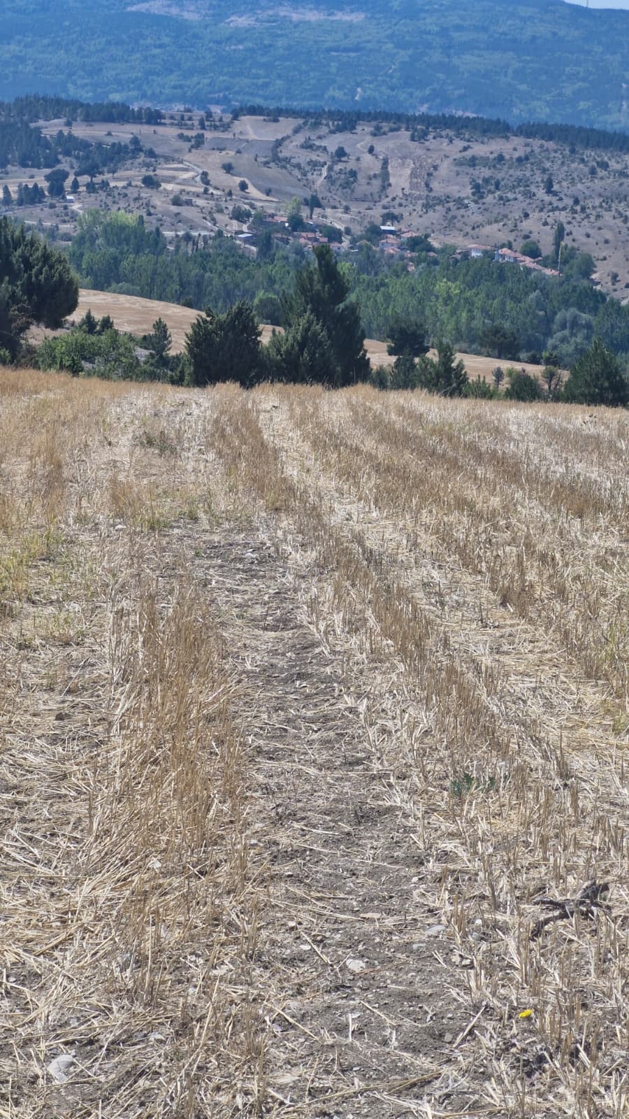    KÜTAHYA GEDİZ YEĞİNLER  KÖYÜNDE 5.332  M² TARLA  SATILIKTIR - KÜTAHYA GEDİZ fotoğraf 11