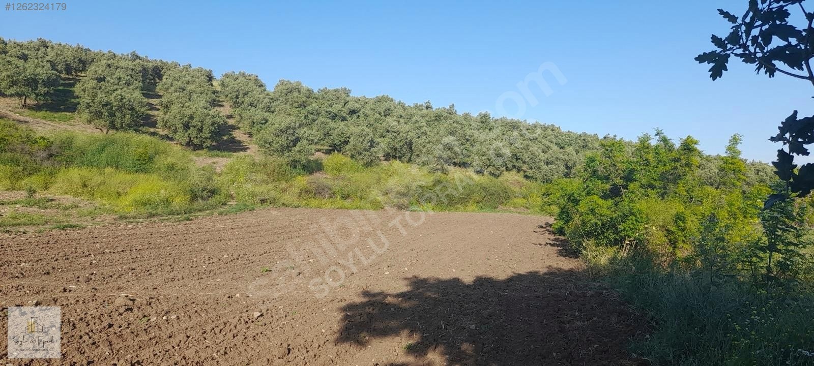 BALİKESİR GÖNEN HAVUTCA KOY CİVARİ 1.440,83m2 - BALIKESİR GÖNEN fotoğraf 4