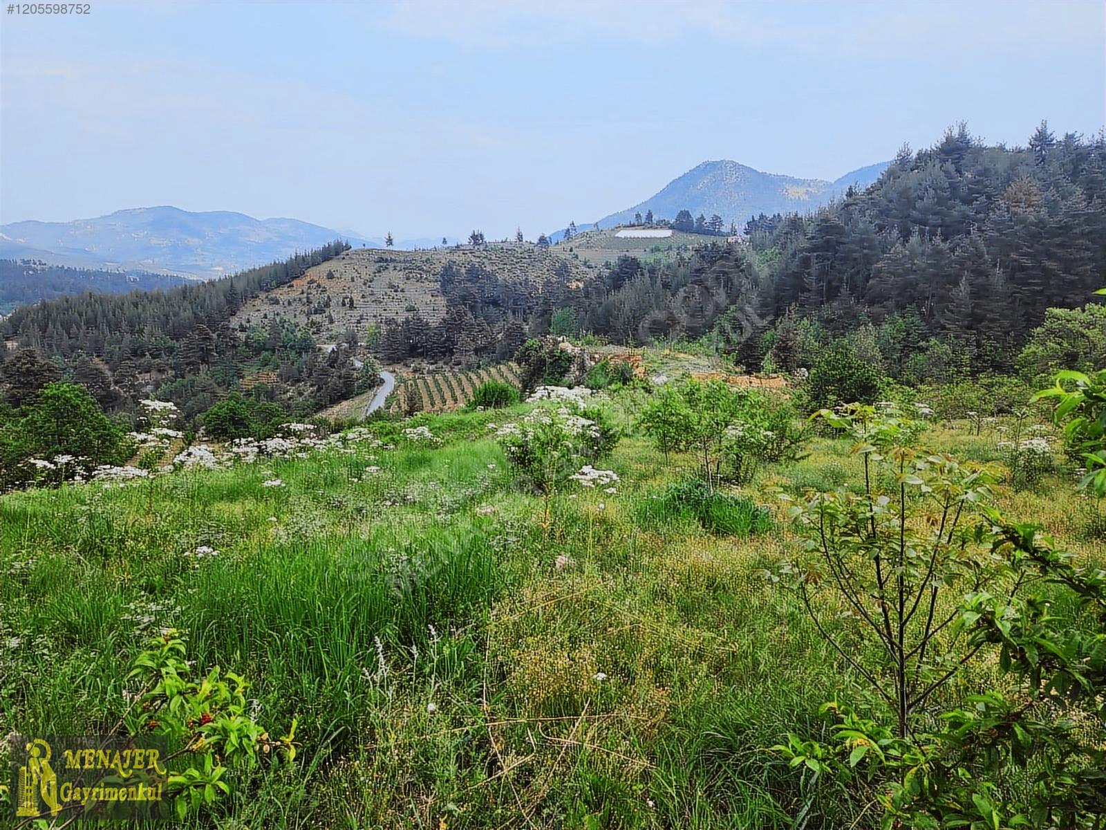 EVCİLİ KÖYÜ 10500 M2 EV VE CEVİZ BAHÇESİ - MERSİN TOROSLAR fotoğraf 13